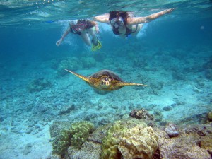 Snorkeling in Kauai